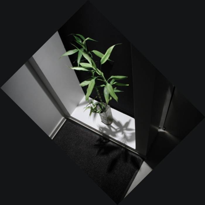 Nicchia | ripostiglio ecoArchitettare Ingresso, Corridoio & Scale in stile minimalista