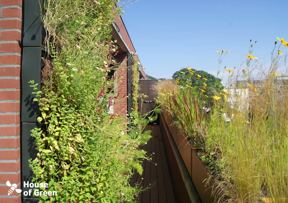 Complete terras make-over, House of Green House of Green Balcones y terrazas modernos