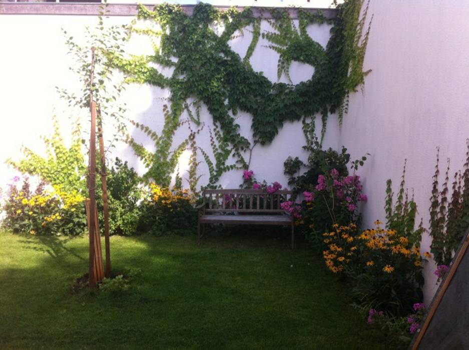 Familien- und Gemeinschaftsgarten, Nelka Nelka Garten Blume,Pflanze,Natur,Blatt,Botanik,Beleuchtung,Fenster,Die Architektur,Vegetation,Gras