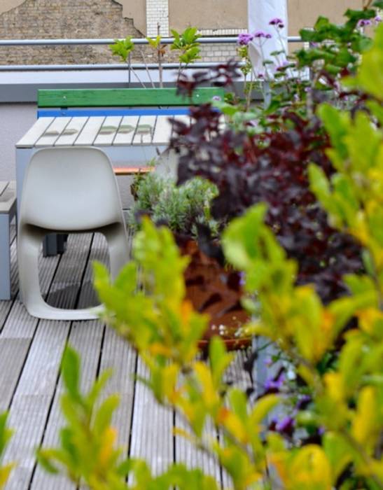 Dachterrasse und Dachgarten in Berlin, Nelka Nelka Balkon, Veranda & Terrasse