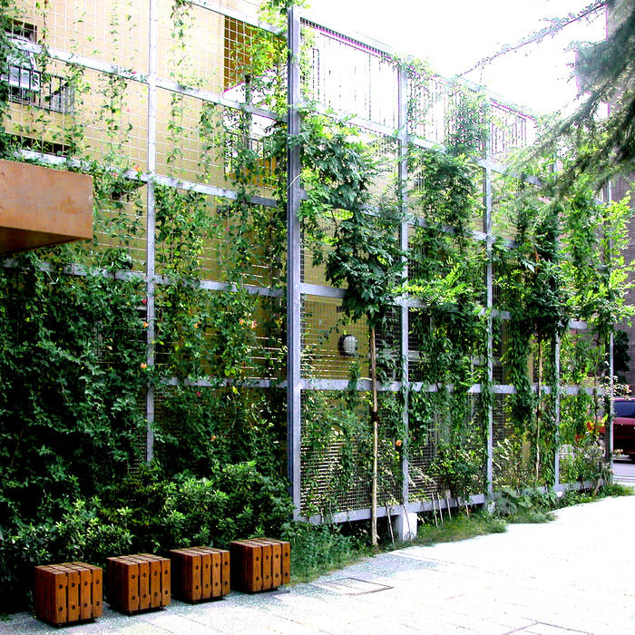 緑の環境の集合住宅 ユミラ建築設計室 モダンな 家