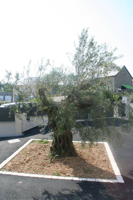 Aménagement complet autour d’une maison d’architecte, cour en enrobé et muret, clôture et portail, EURL OLIVIER DUBOIS EURL OLIVIER DUBOIS Modern Bahçe