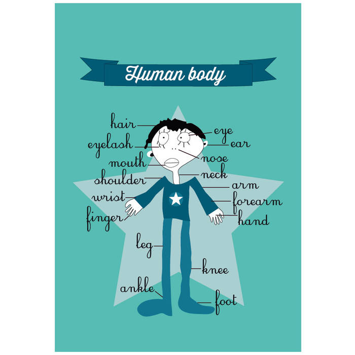 AFFICHE HUMAN BODY A CAUSE DE TOI ! Chambre d'enfant Accessoires & décorations