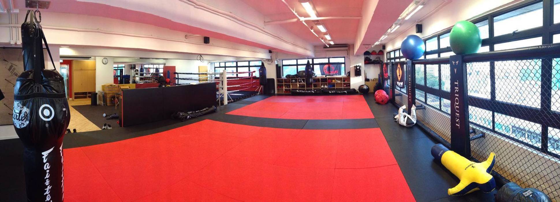 Mat Area Oui3 International Limited Modern gym