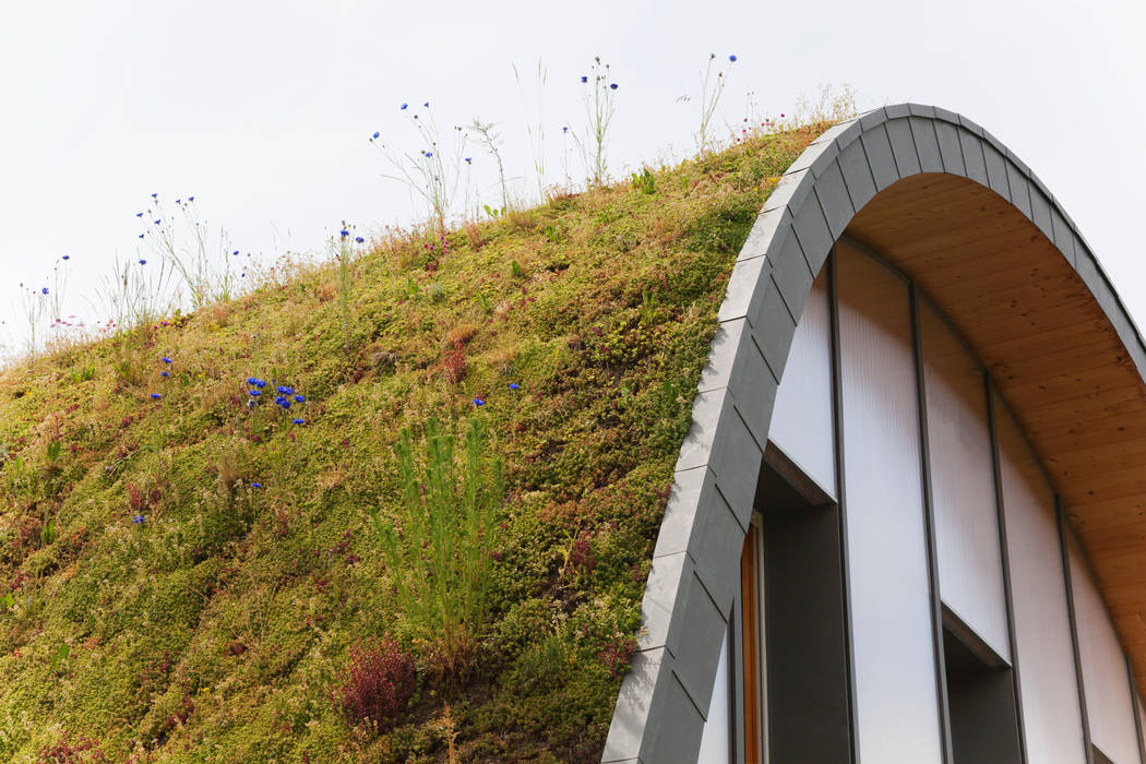 La maison vague, comme un terrain vague en été, Patrick Nadeau Patrick Nadeau Maisons originales