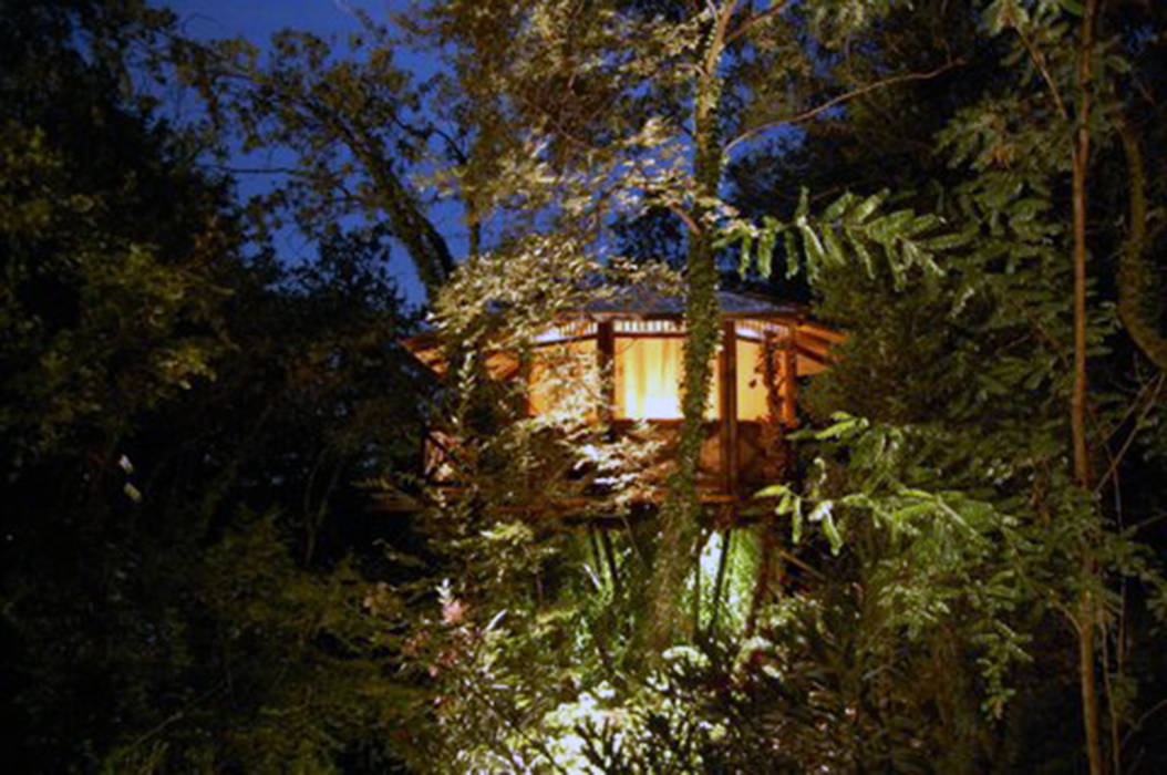 Casa sull'albero, Tree Top Builder Tree Top Builder Rumah Tropis