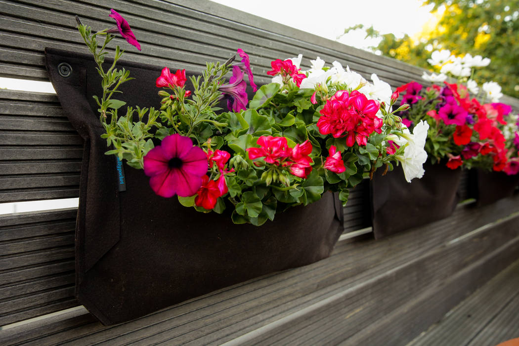 Dachterrasse in Hamburg, 30qm, DIE BALKONGESTALTER DIE BALKONGESTALTER モダンデザインの テラス 植物＆花