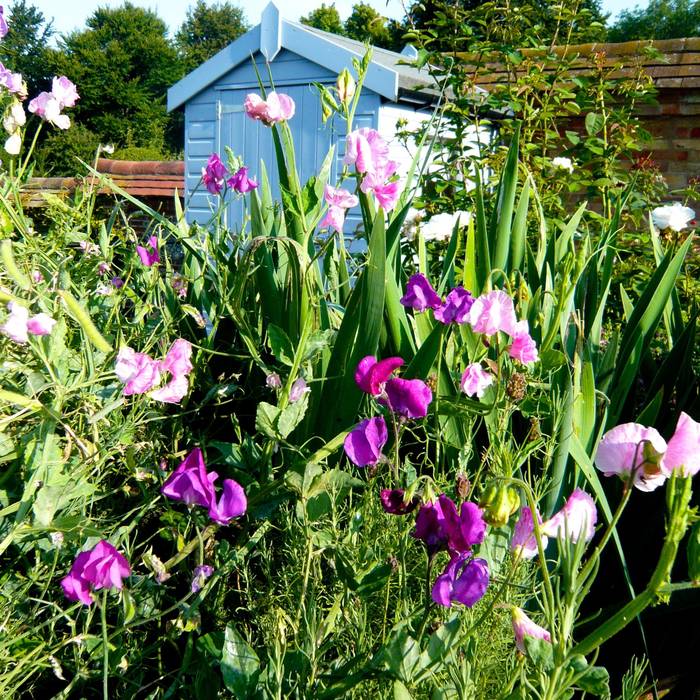 a cutting garden: country by Joanne Alderson Design, Country