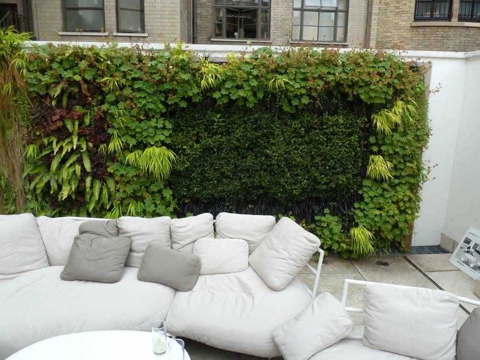 RIBA Roof Terrace, Portland Place Biotecture Teras: Ide desain, inspirasi & gambar Plants & flowers