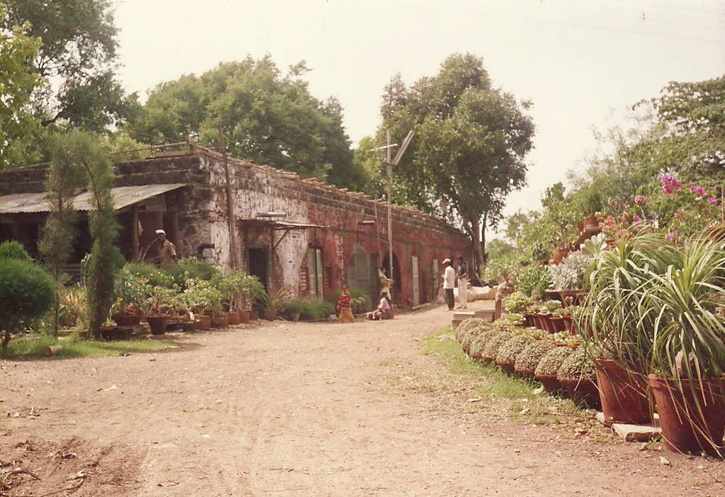 PAPAYA NURSERY, ENVIRON PLANNERS ENVIRON PLANNERS Espacios