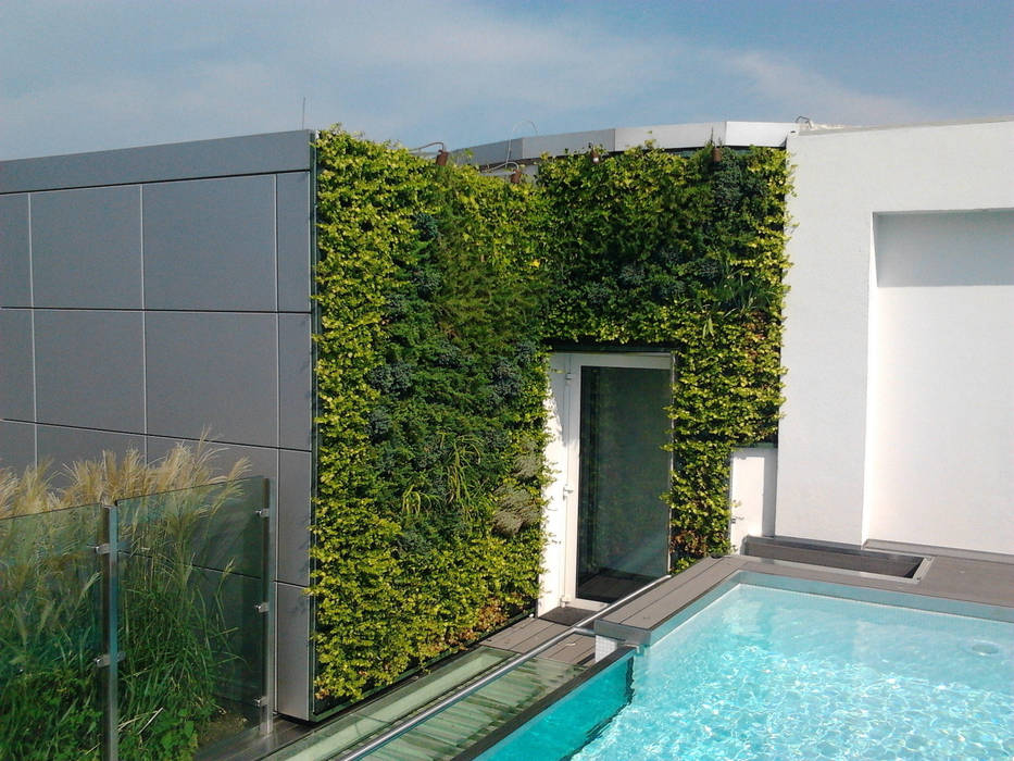 Sundar Italia outdoor vertical garden homify جدران و أرضيات ديكورات الجدران