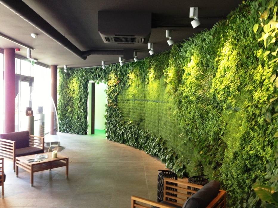 Sundar Italia vertical gardens homify Paredes e pisos Decoração de parede