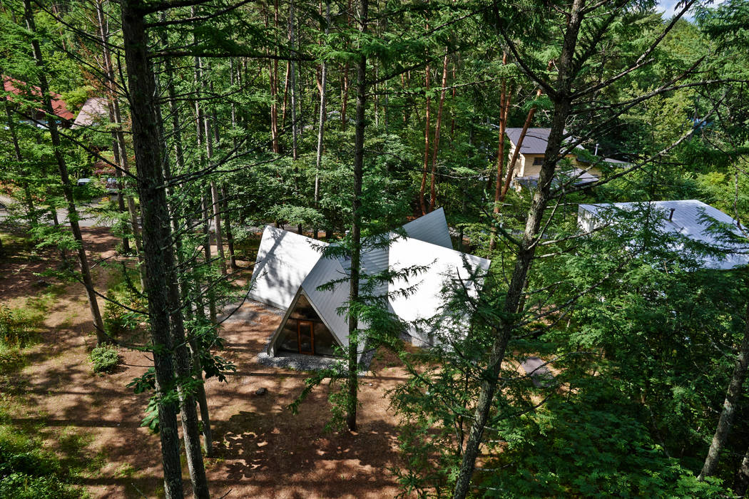 Forest House, カスヤアーキテクツオフィス(KAO) カスヤアーキテクツオフィス(KAO) บ้านและที่อยู่อาศัย