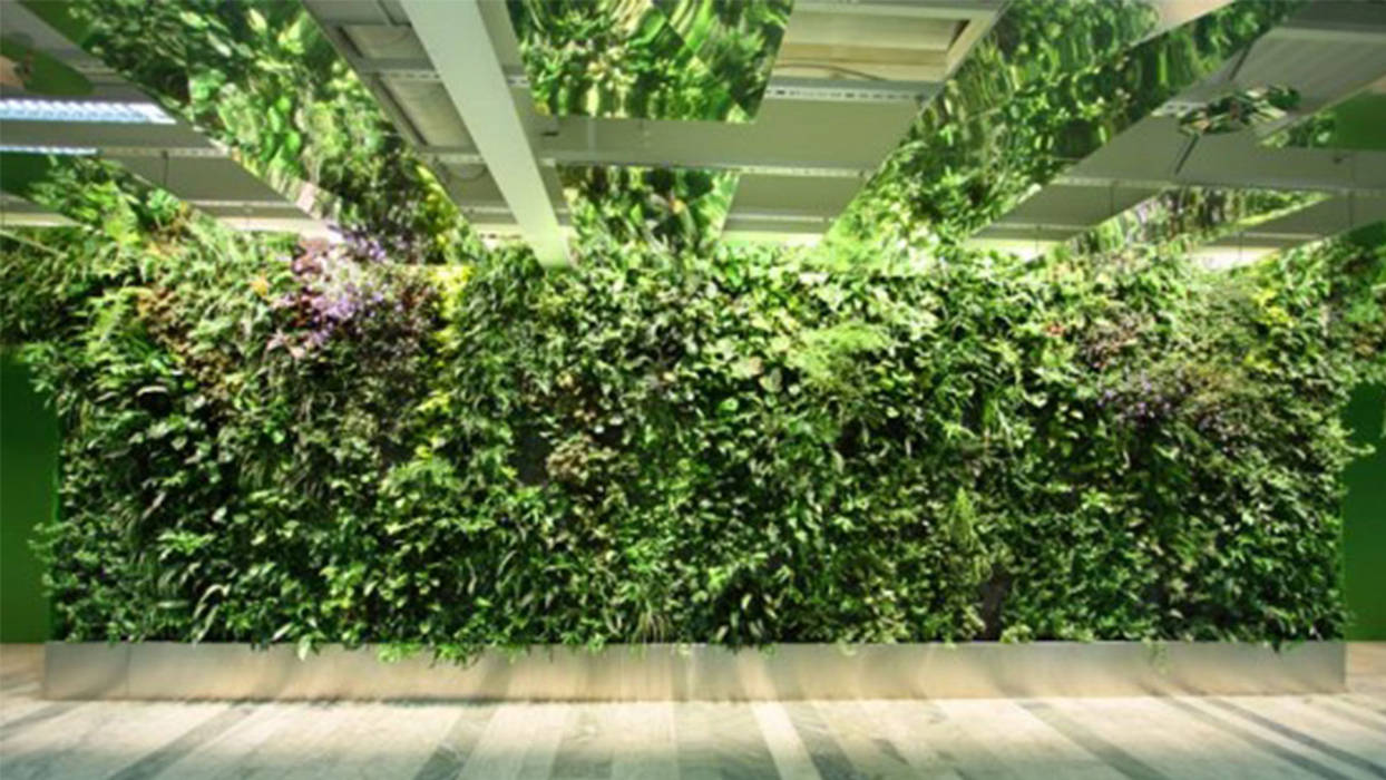 Verde Verticale e parchi., Dotto Francesco consulting Green Dotto Francesco consulting Green Commercial spaces Office spaces & stores