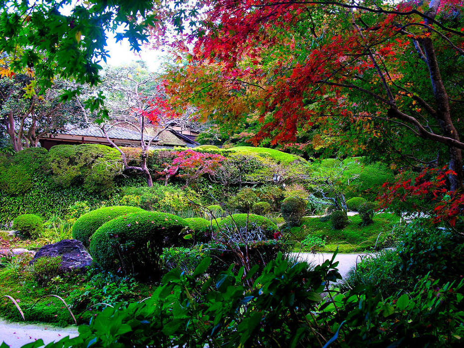 Verde Verticale e parchi., Dotto Francesco consulting Green Dotto Francesco consulting Green Jardins ecléticos