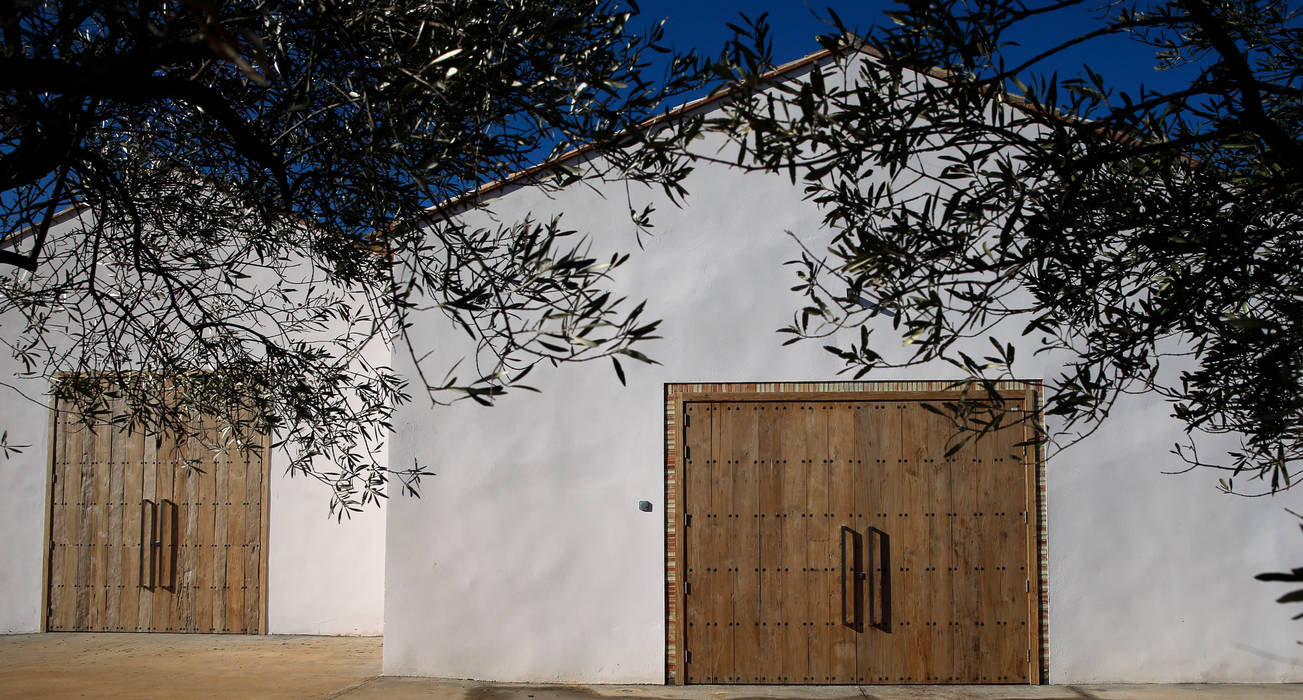 Bodegas Alvarez Nölting. Requena., 3 M ARQUITECTURA 3 M ARQUITECTURA Spazi commerciali Spazi commerciali