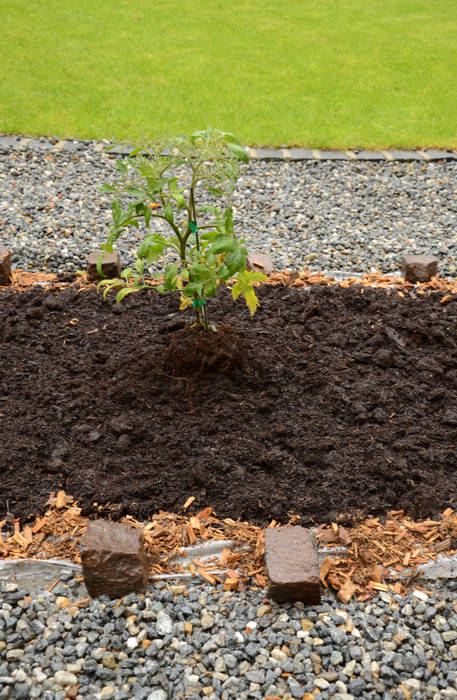 Aménagement d'une place homify Jardin original