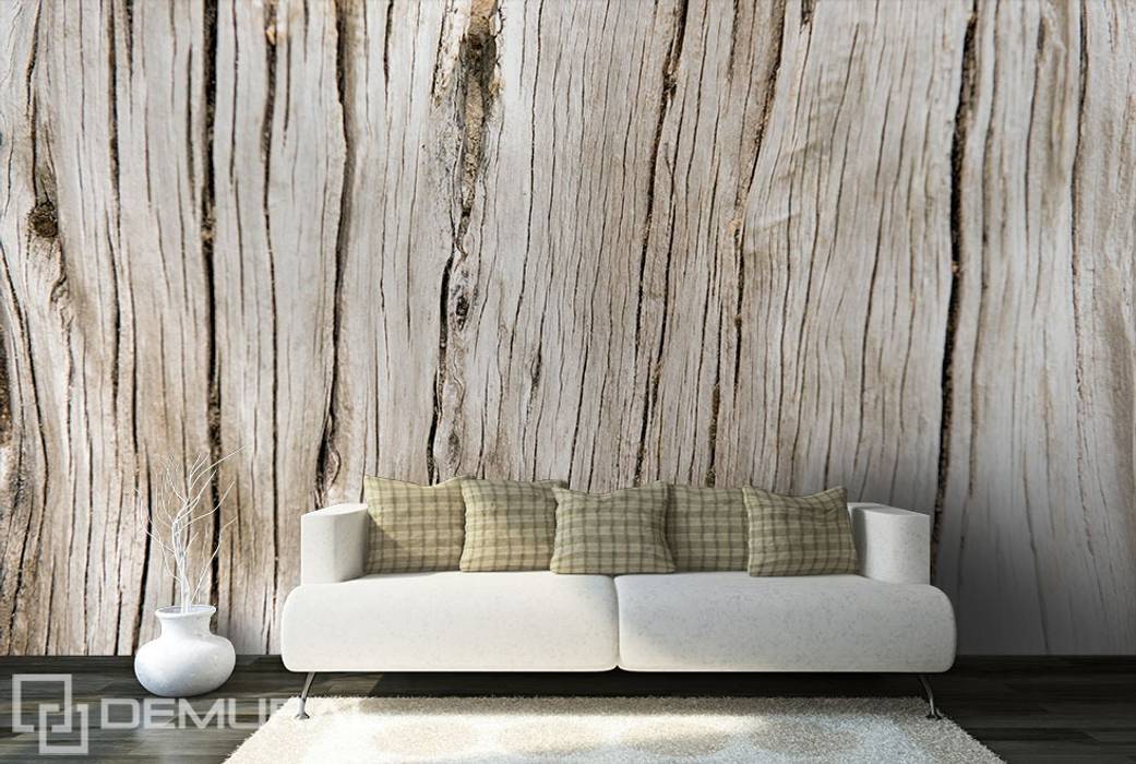 Cracked plank Demural Modern living room Accessories & decoration