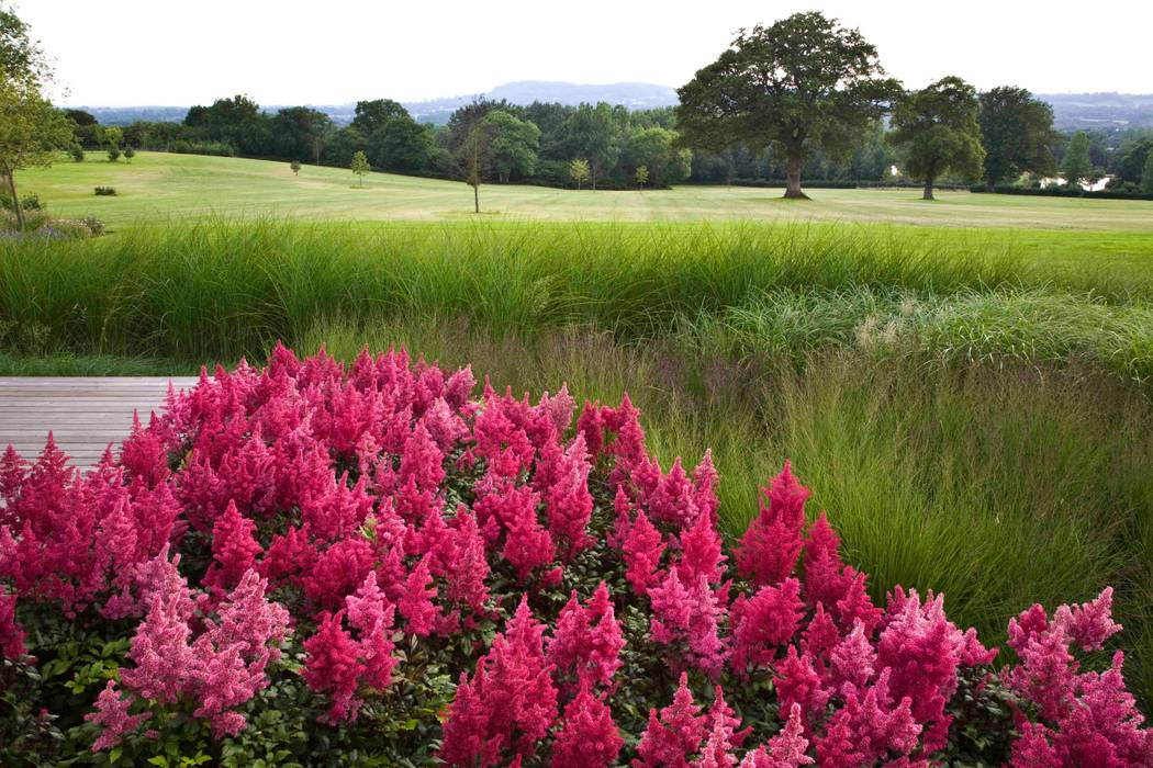 Rae Wilkinson's naturalistic planting style frames the view Rae Wilkinson Design Ltd Jardins campestres