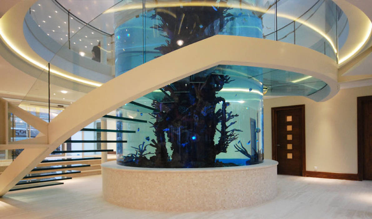 Helical glass staircase around giant fish tank Diapo Modern corridor, hallway & stairs