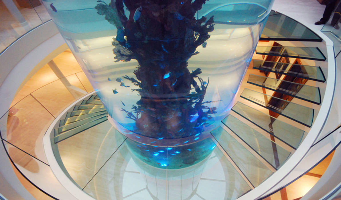 Helical glass staircase around giant fish tank Diapo Modern Corridor, Hallway and Staircase