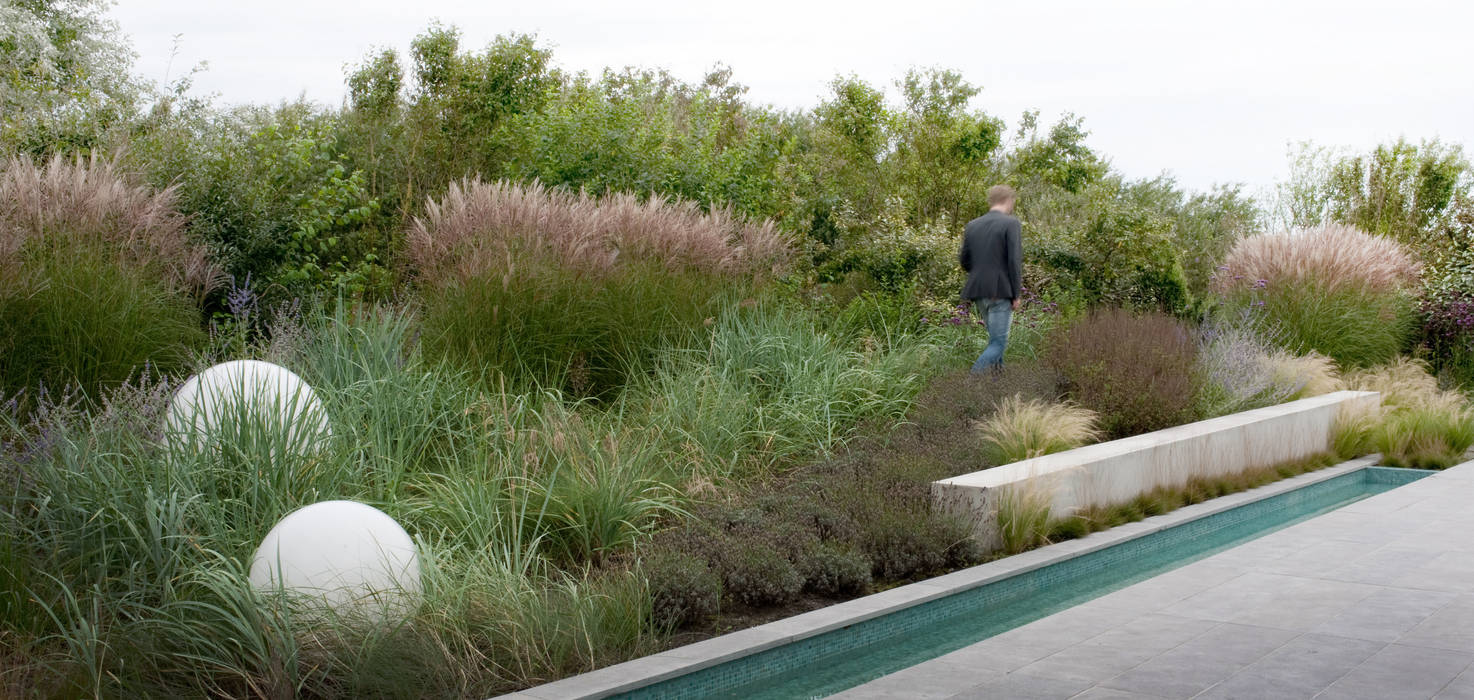 minimalistic architecture floating in dune landscape Andrew van Egmond (ontwerp van tuin en landschap) Jardines de estilo moderno