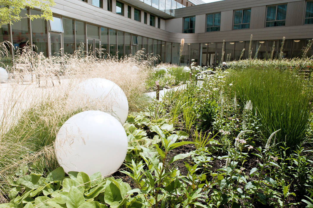 Binnentuin voor dementerende ouderen, Andrew van Egmond (ontwerp van tuin en landschap) Andrew van Egmond (ontwerp van tuin en landschap) Commercial spaces Clinics