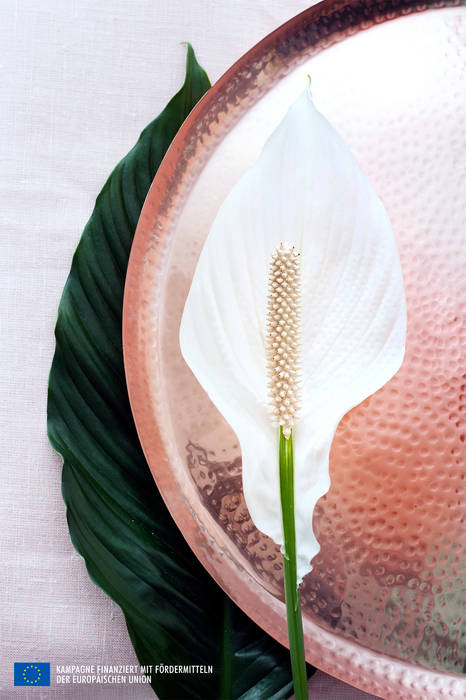 de Pflanzenfreude.de Minimalista