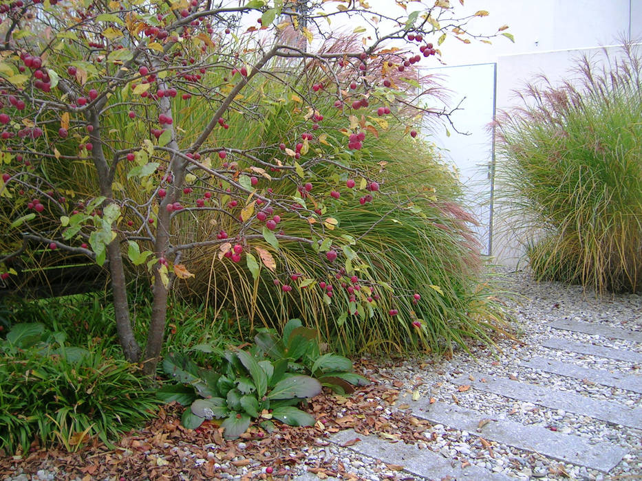 Atriumgarten München Riem, Blumen & Gärten Blumen & Gärten Jardines de estilo moderno