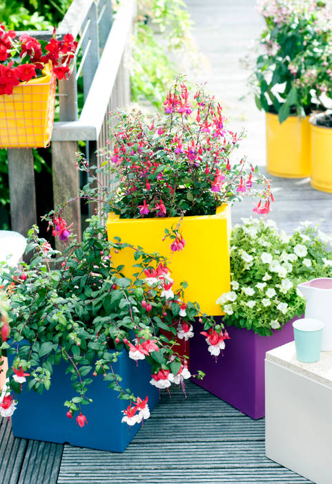 Sommergarten, Pflanzenfreude.de Pflanzenfreude.de Jardins ecléticos Plantas e flores