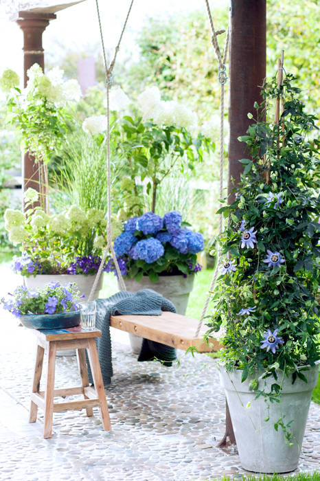 Sommergarten, Pflanzenfreude.de Pflanzenfreude.de Kolonialer Garten Pflanzen und Blumen