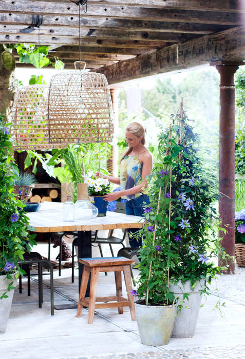 Sommergarten, Pflanzenfreude.de Pflanzenfreude.de Country style garden Plants & flowers