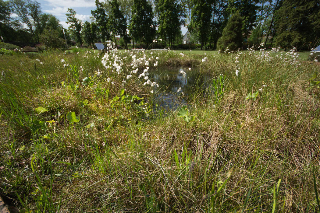 Kurpark Bad Schmiedeberg , GFSL clausen landschaftsarchitekten gruen fuer stadt + leben GFSL clausen landschaftsarchitekten gruen fuer stadt + leben Commercial spaces Bệnh viện