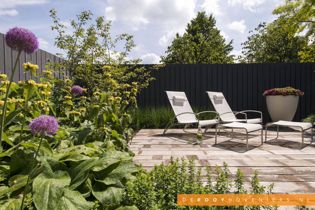 Stijlvolle tuin Raamsdonksveer, De Rooy Hoveniers De Rooy Hoveniers Modern style gardens