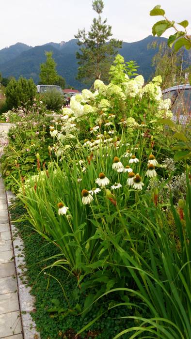 Pflanzplanung Hotelzufahrt Chiemsee, Blumen & Gärten Blumen & Gärten Moderner Garten