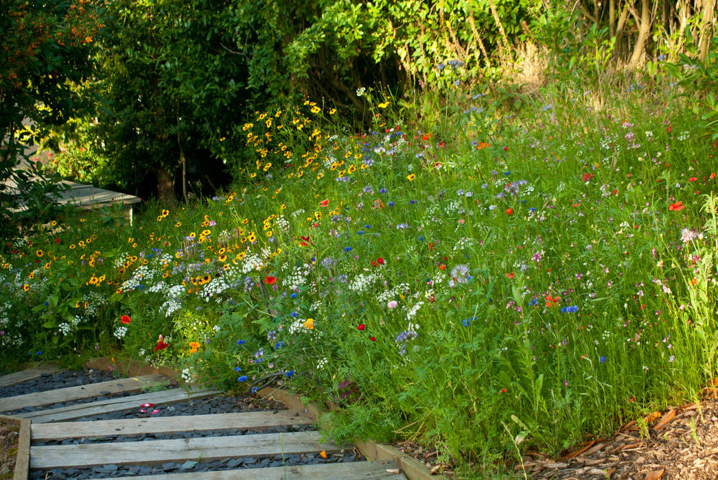 Wildflower Seed Meadow with Sleeper steps Katherine Roper Landscape & Garden Design Garten im Landhausstil