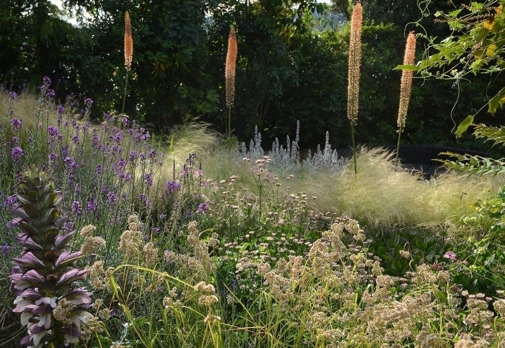 Planting on a bank with Eremurus Katherine Roper Landscape & Garden Design Jardines rurales