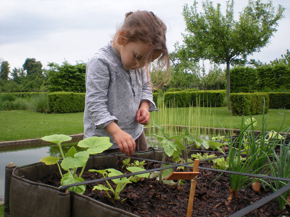 Potager urbain , BACSAC® BACSAC® Jardins campestres Potes vasos