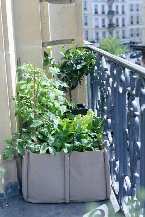 Carré potager BACSAC sur un balcon à Paris BACSAC® Balcon, Veranda & Terrasse modernes Plante,Feuille,Plante d&#39;appartement,Fenêtre,Immeuble,Pot de fleur,Gazon,Arbuste,Couverture de sol,Design urbain