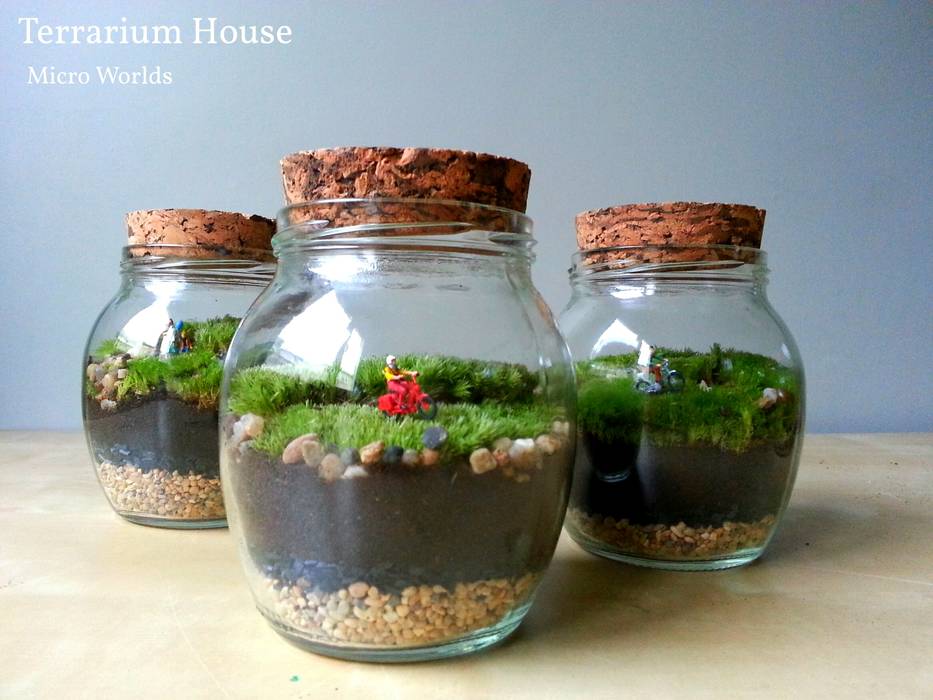 Hediyelikler, Terrarium House Terrarium House Jardines de estilo moderno Plantas y accesorios