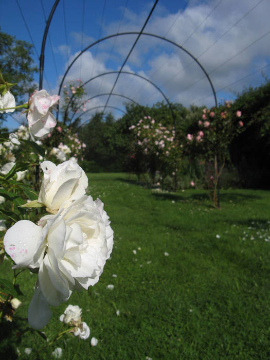 IJLA - Manor House, IJLA IJLA Country style garden