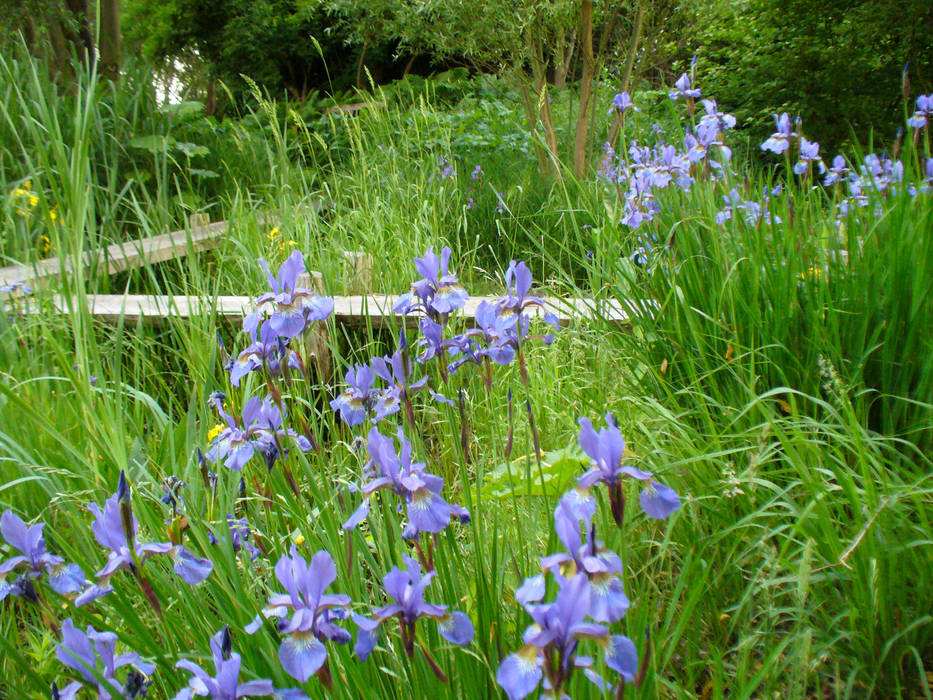 Schaugarten in Bartschendorf, ROJI Japanische Gärten ROJI Japanische Gärten Aziatische tuinen