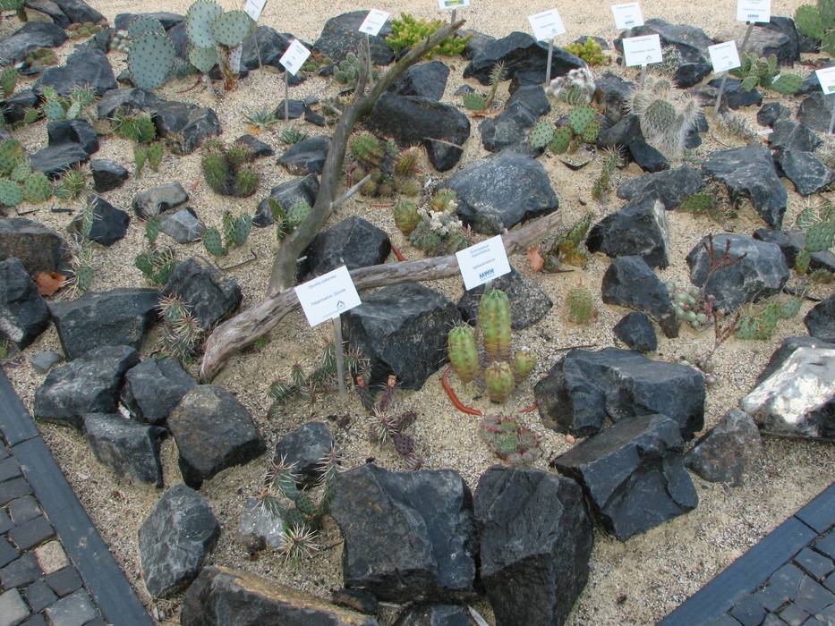 homify Rock Garden