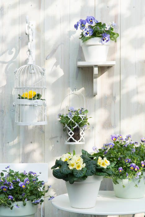 Frühlingsgarten, Pflanzenfreude.de Pflanzenfreude.de Balcones y terrazas de estilo escandinavo Plantas y flores