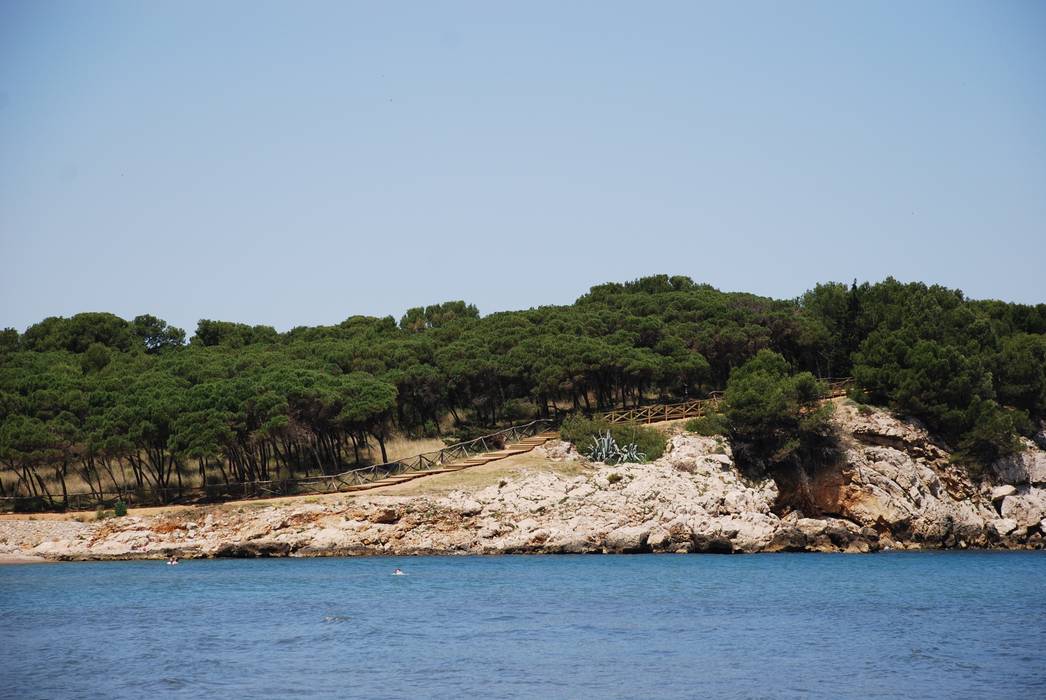 Valla , pasarelas y escaleras de madera de pino tratado. L'Escala - Empúries, Fitor Forestal SL Fitor Forestal SL Paredes y suelos de estilo mediterráneo