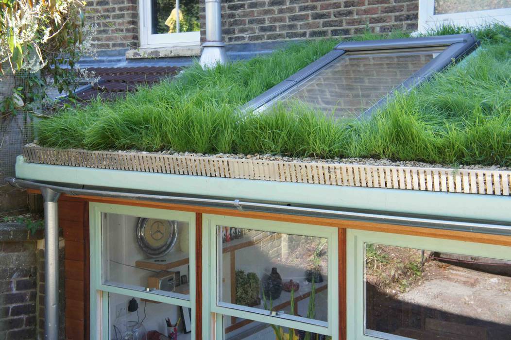 Residential green roofs, Organic Roofs Organic Roofs モダンな 家