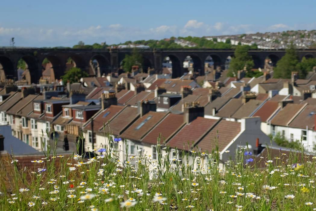 Commercial and public green roofs, Organic Roofs Organic Roofs Modern houses