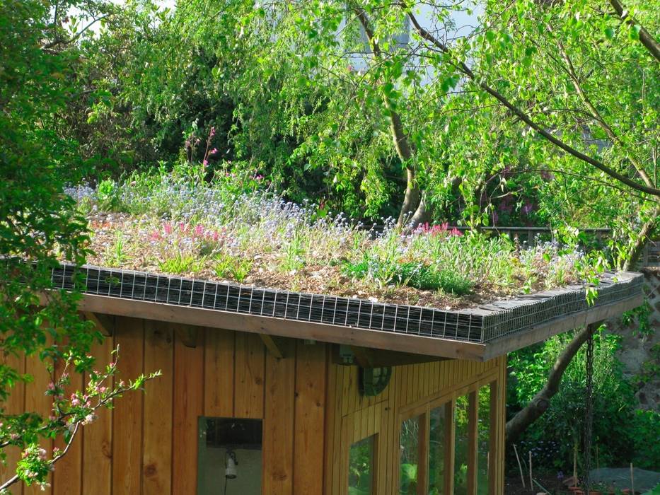 Residential green roofs, Organic Roofs Organic Roofs 모던스타일 주택
