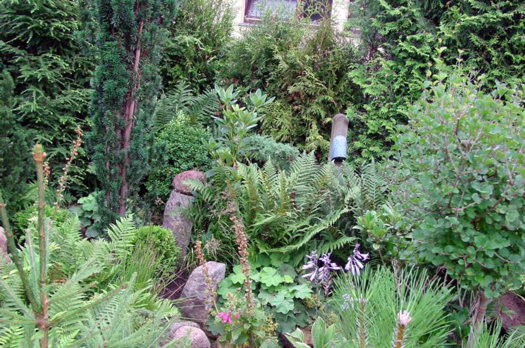 Kleiner garten ganz moos (groß) asiatischer garten von kokeniwa