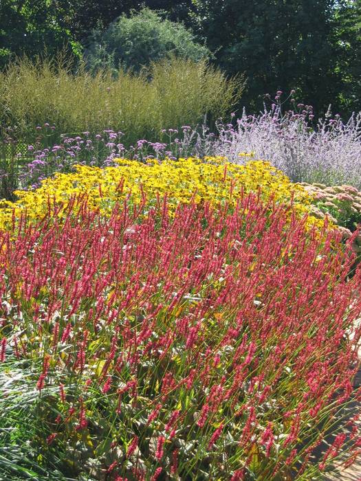 Perennial Planting Paul Dracott Garden Design Country style garden